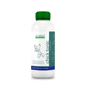Herbal Chick Tonic Formula