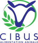 Cibus Nutrition – Staging